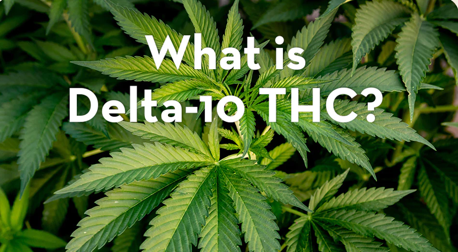 All You Need To Know About Delta-10 THC: How Much THC Is In Delta-10?